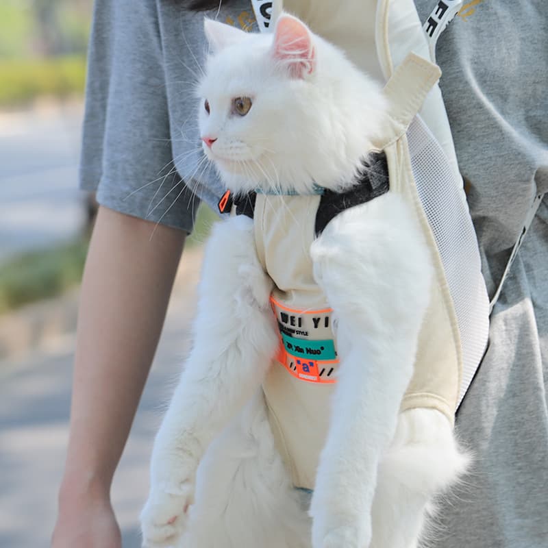 Katzen-Tragetasche - Geh raus
